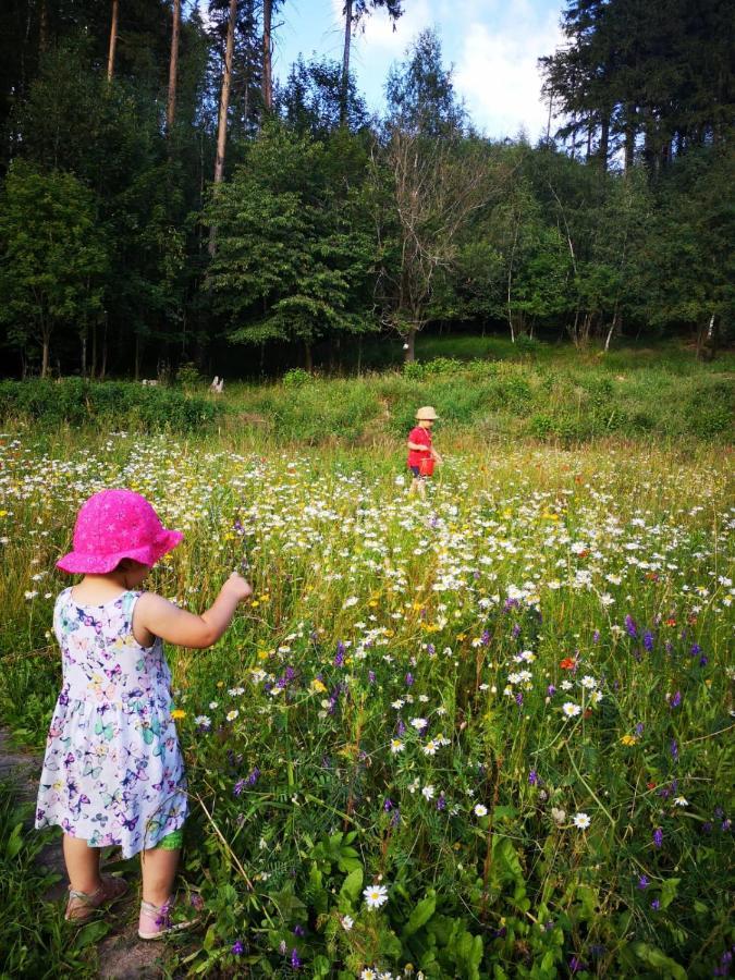 Agroturystyka " Zabi Dolek " Villa Duszniki Zdrój Eksteriør billede