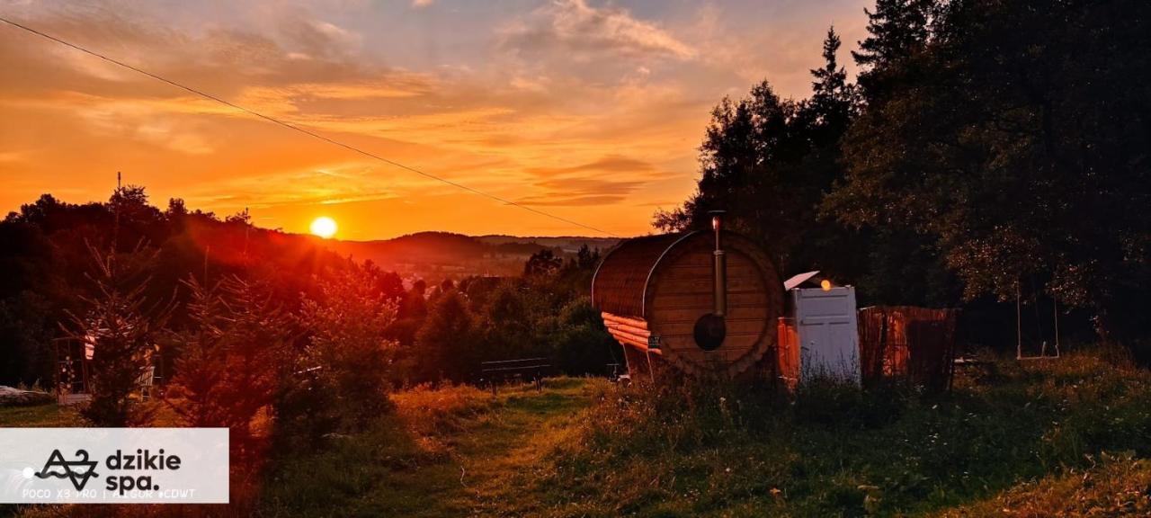 Agroturystyka " Zabi Dolek " Villa Duszniki Zdrój Eksteriør billede